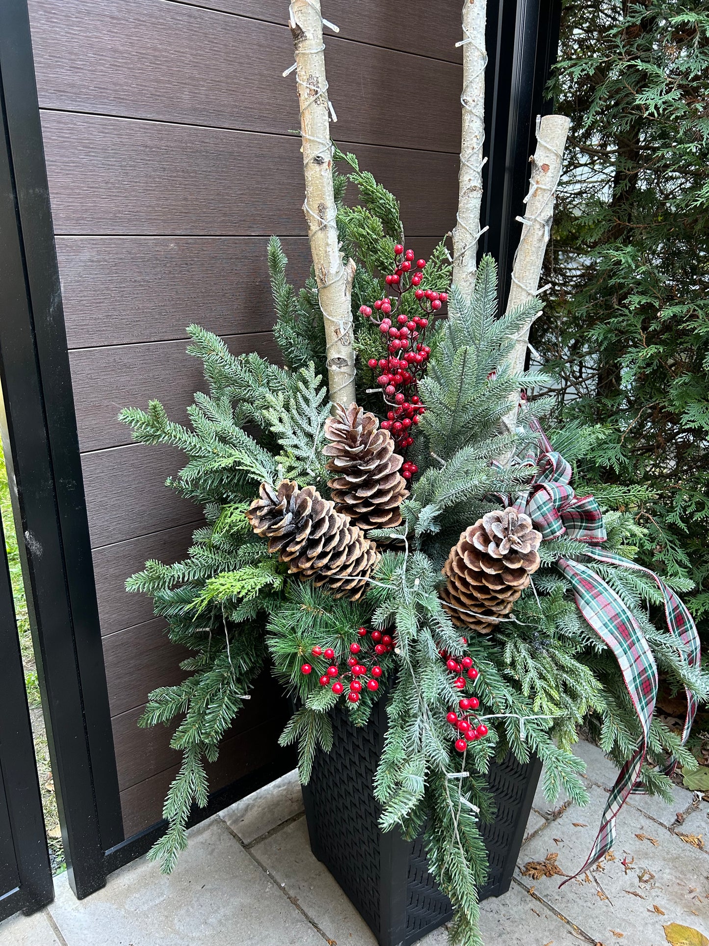 Grand arrangement hivernal extérieur 72 po – Bouleau, verdure et tartan