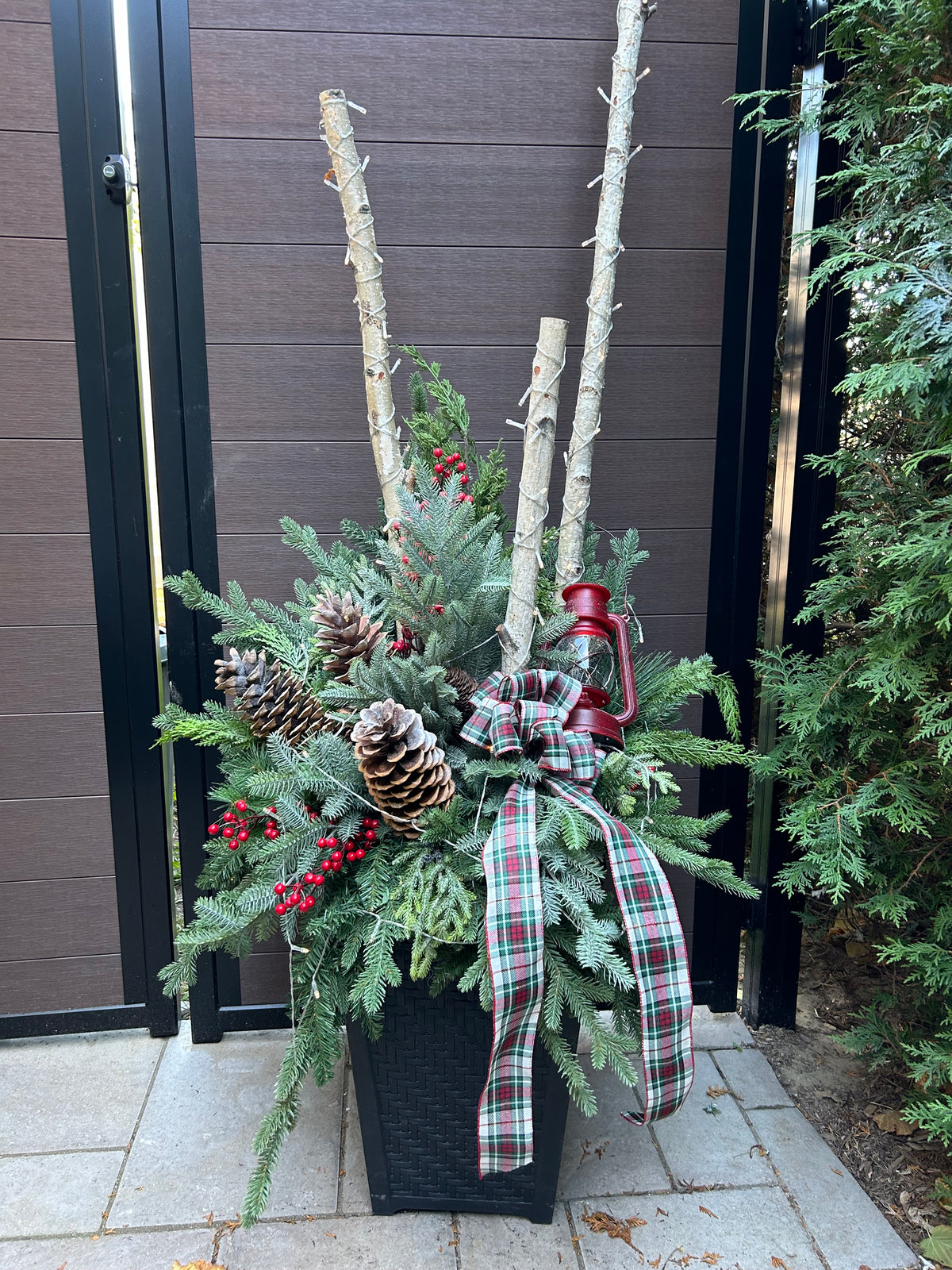 Grand arrangement hivernal extérieur 72 po – Bouleau, verdure et tartan