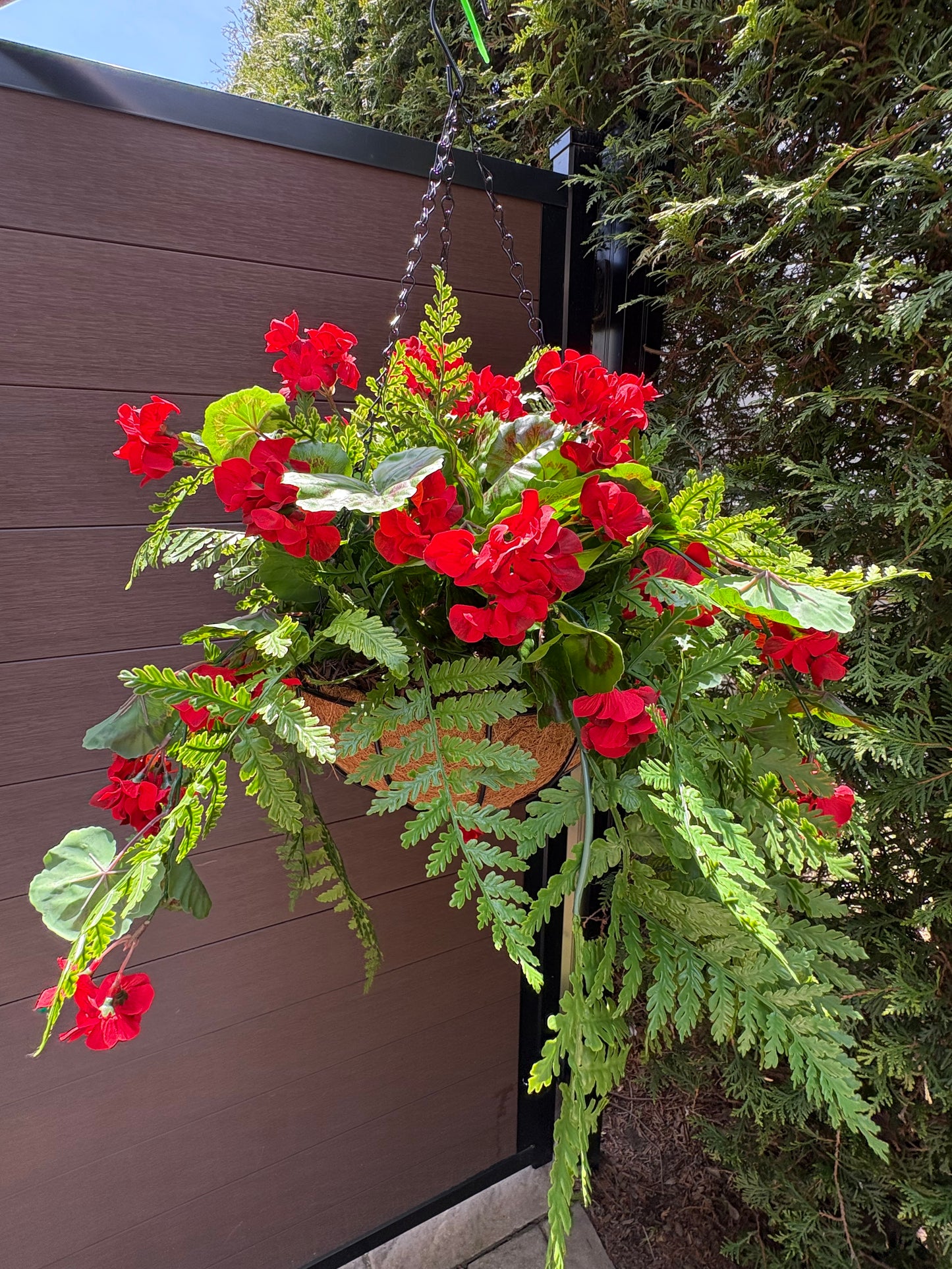 Panier suspendu rustique chic en coco traité UV – Géranium rouge | Collection Camille