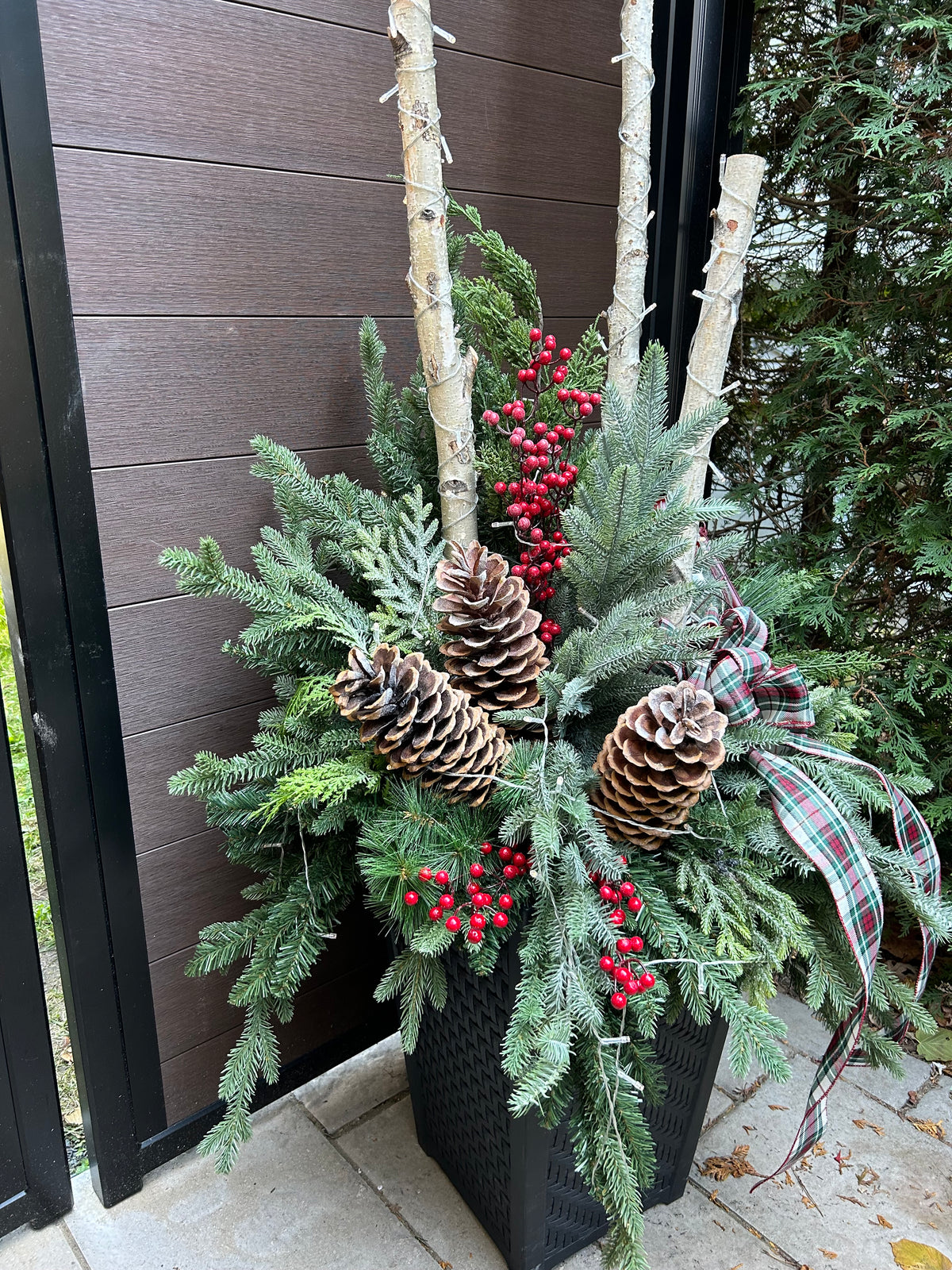 Grand arrangement hivernal extérieur 72 po – Bouleau, verdure et tartan
