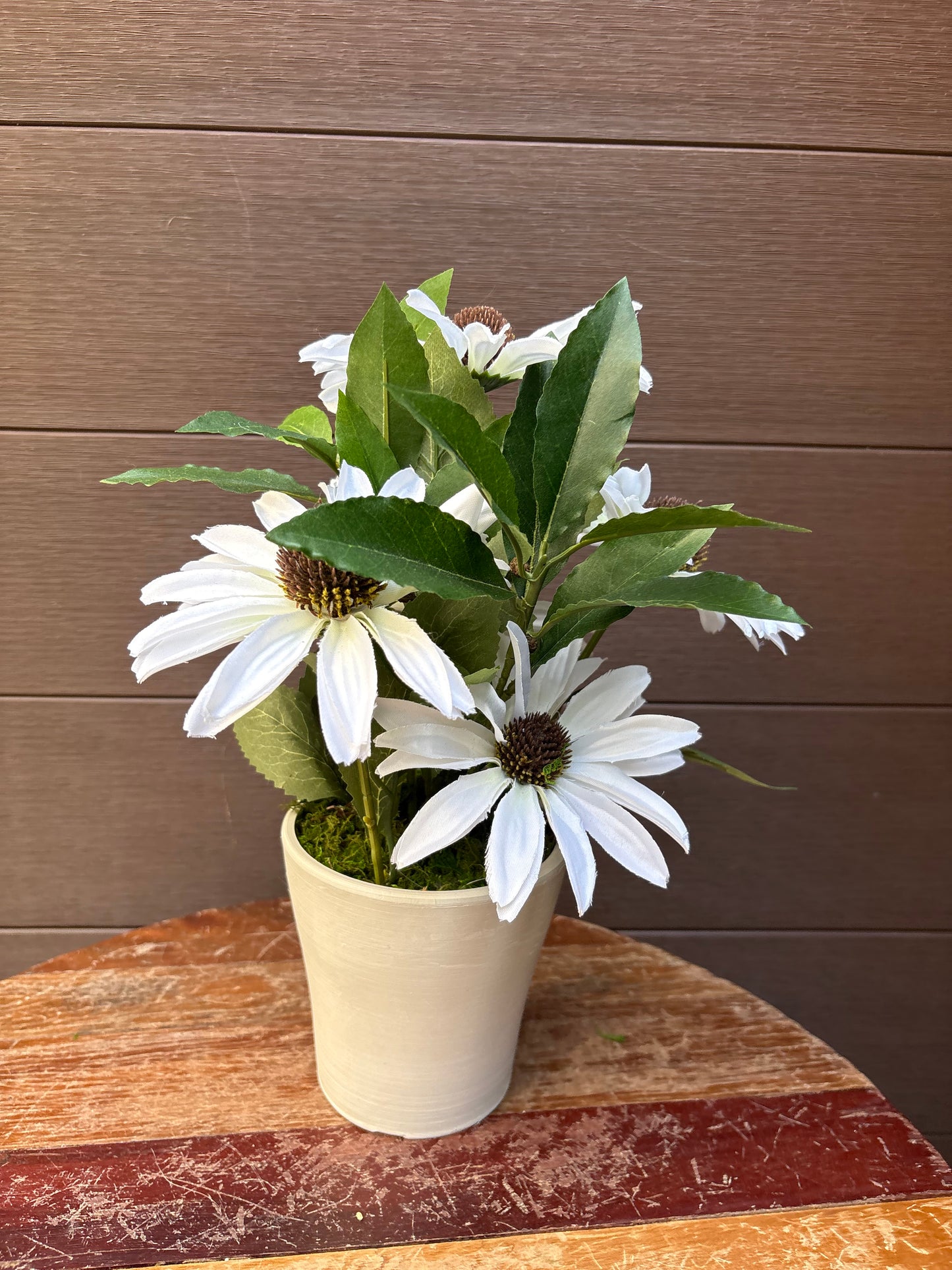 White rudbeckia floral arrangement
