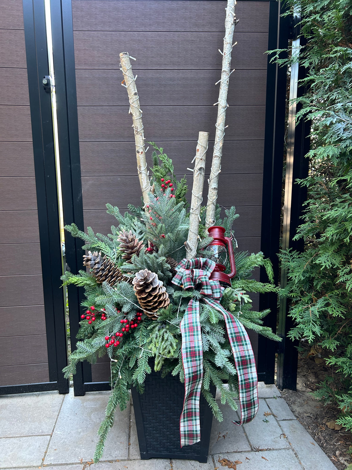 Grand arrangement hivernal extérieur 72 po – Bouleau, verdure et tartan