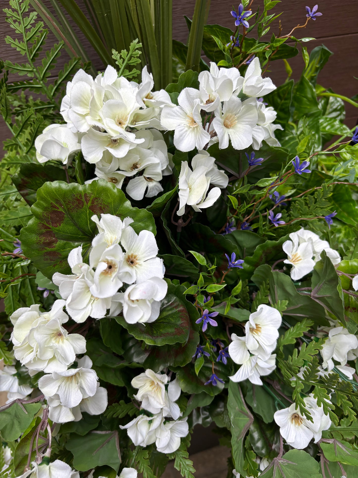 Arrangement extérieur Géranium Blanc Élégance