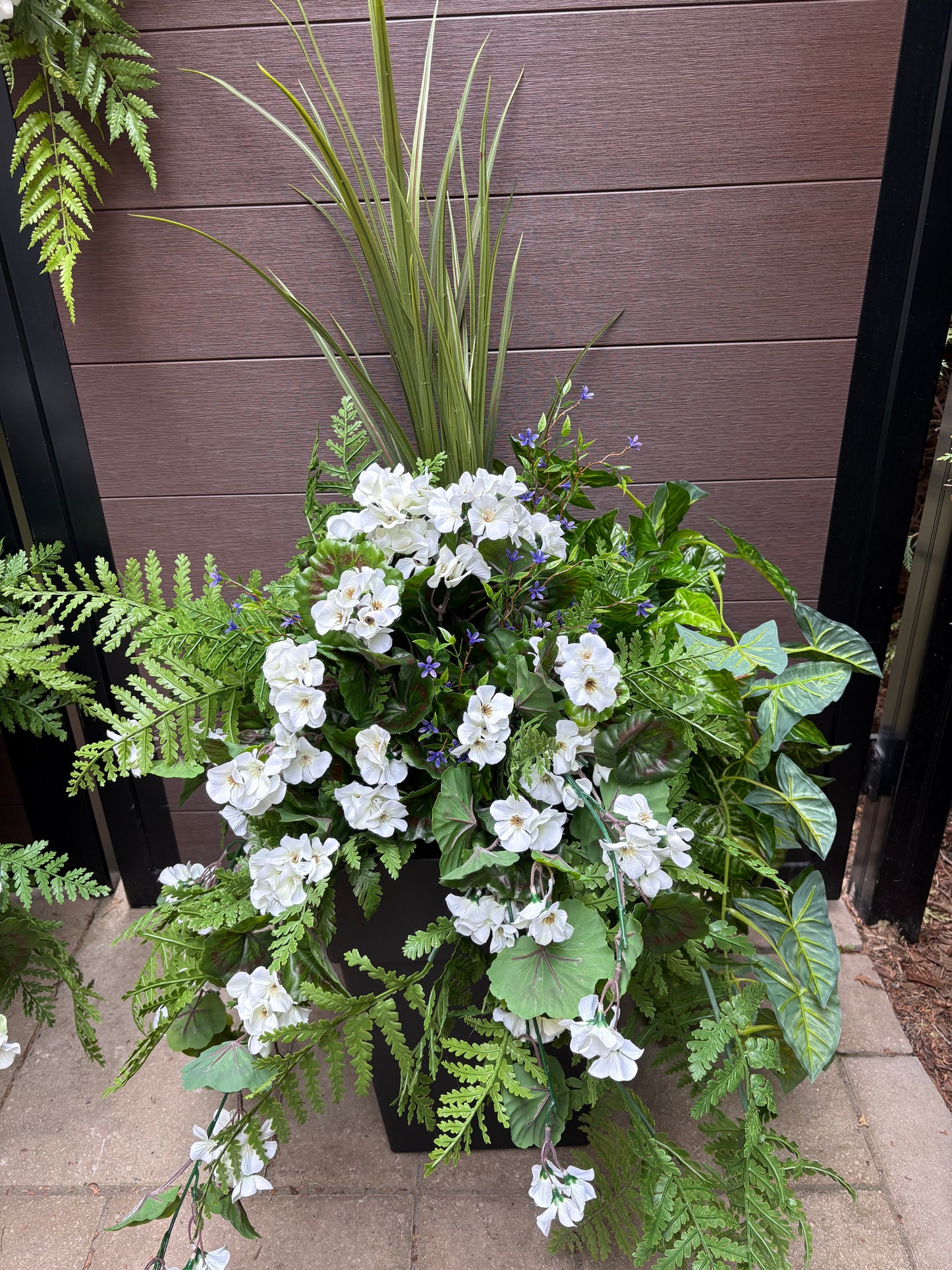 Arrangement extérieur Géranium Blanc Élégance