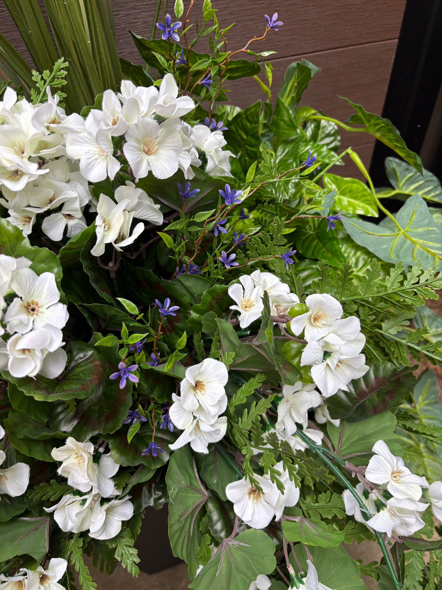 Arrangement extérieur Géranium Blanc Élégance
