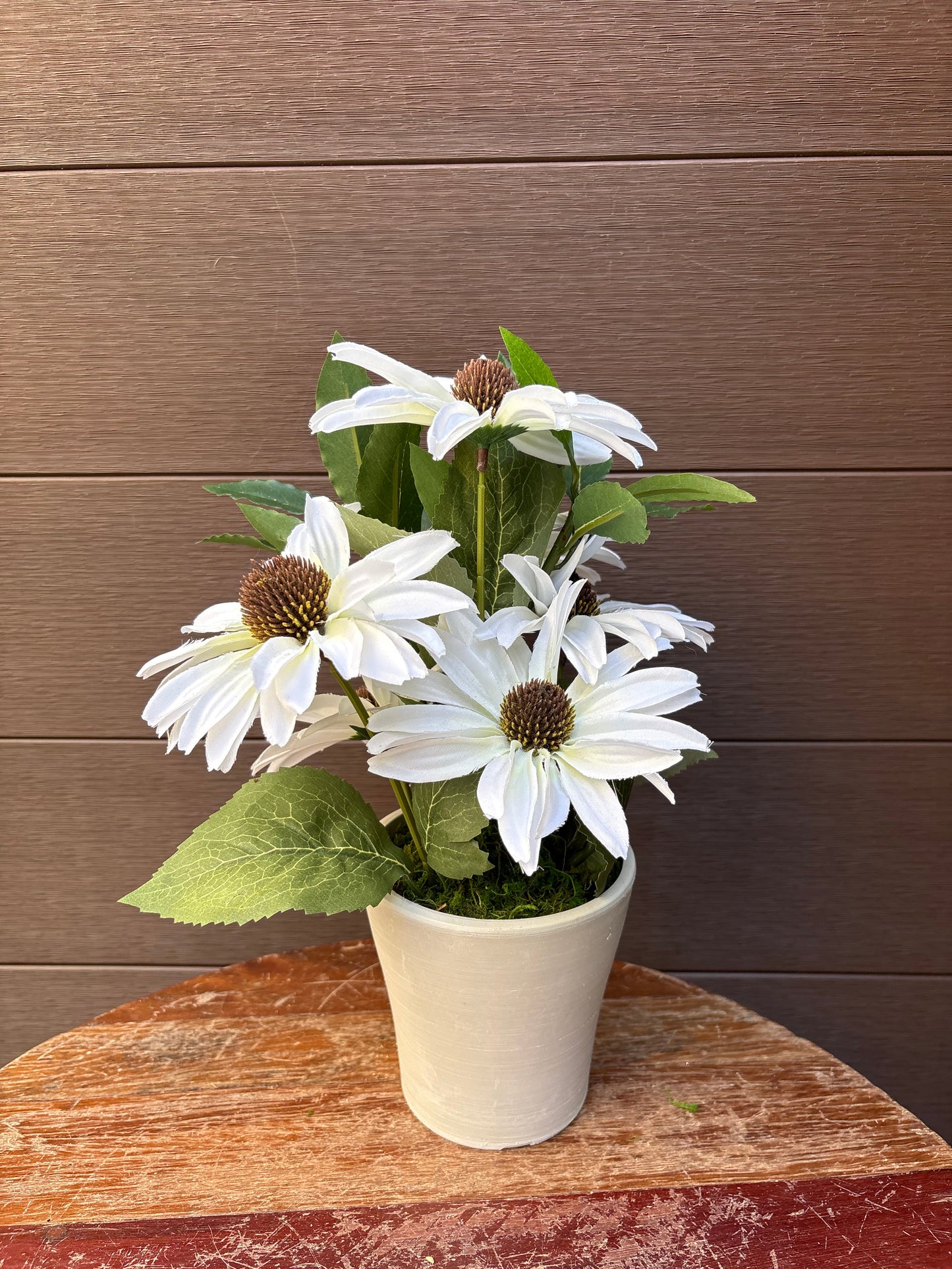 White rudbeckia floral arrangement