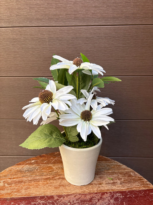 Arrangement floral rudbeckie blanche