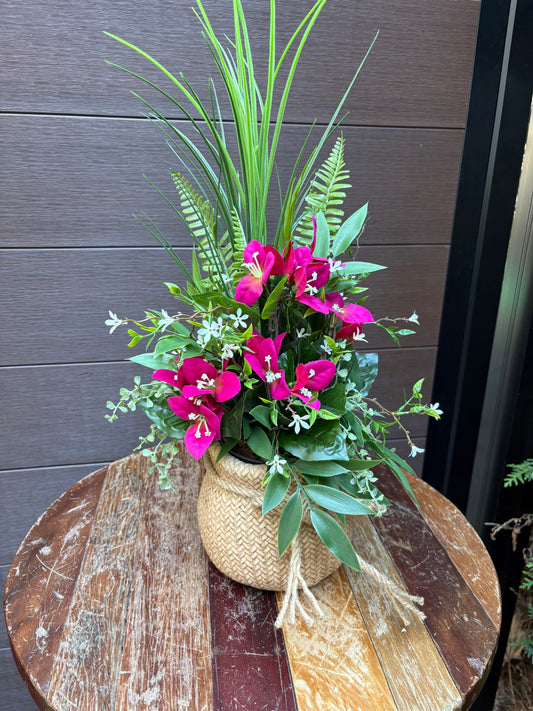 Raspberry bougainvillea arrangement in a pot