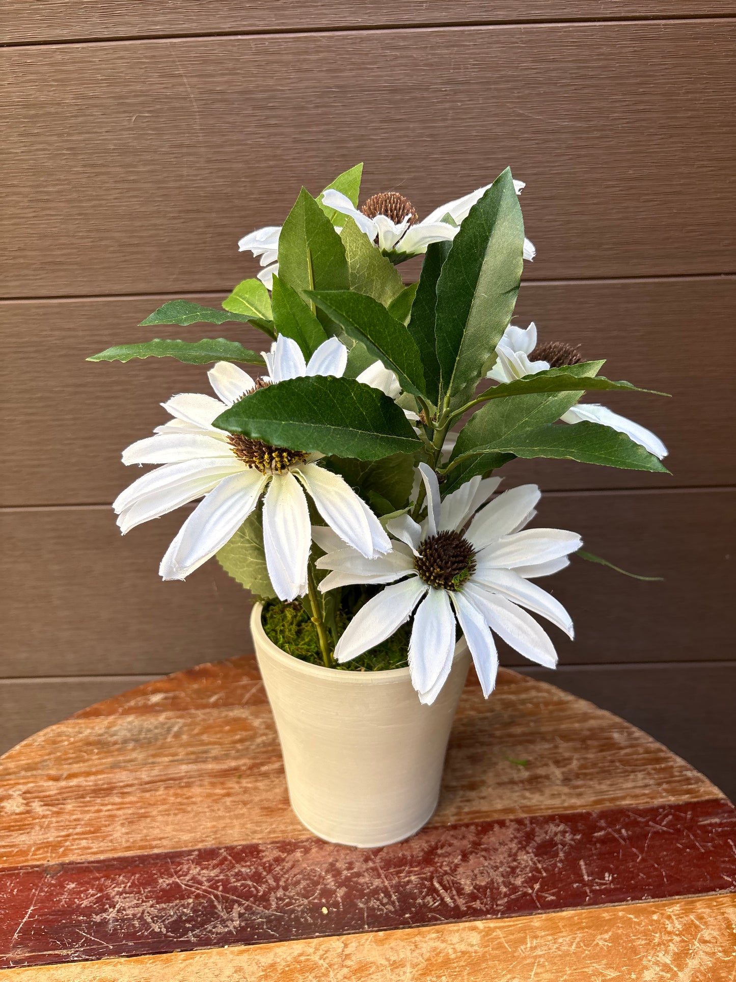 White rudbeckia floral arrangement