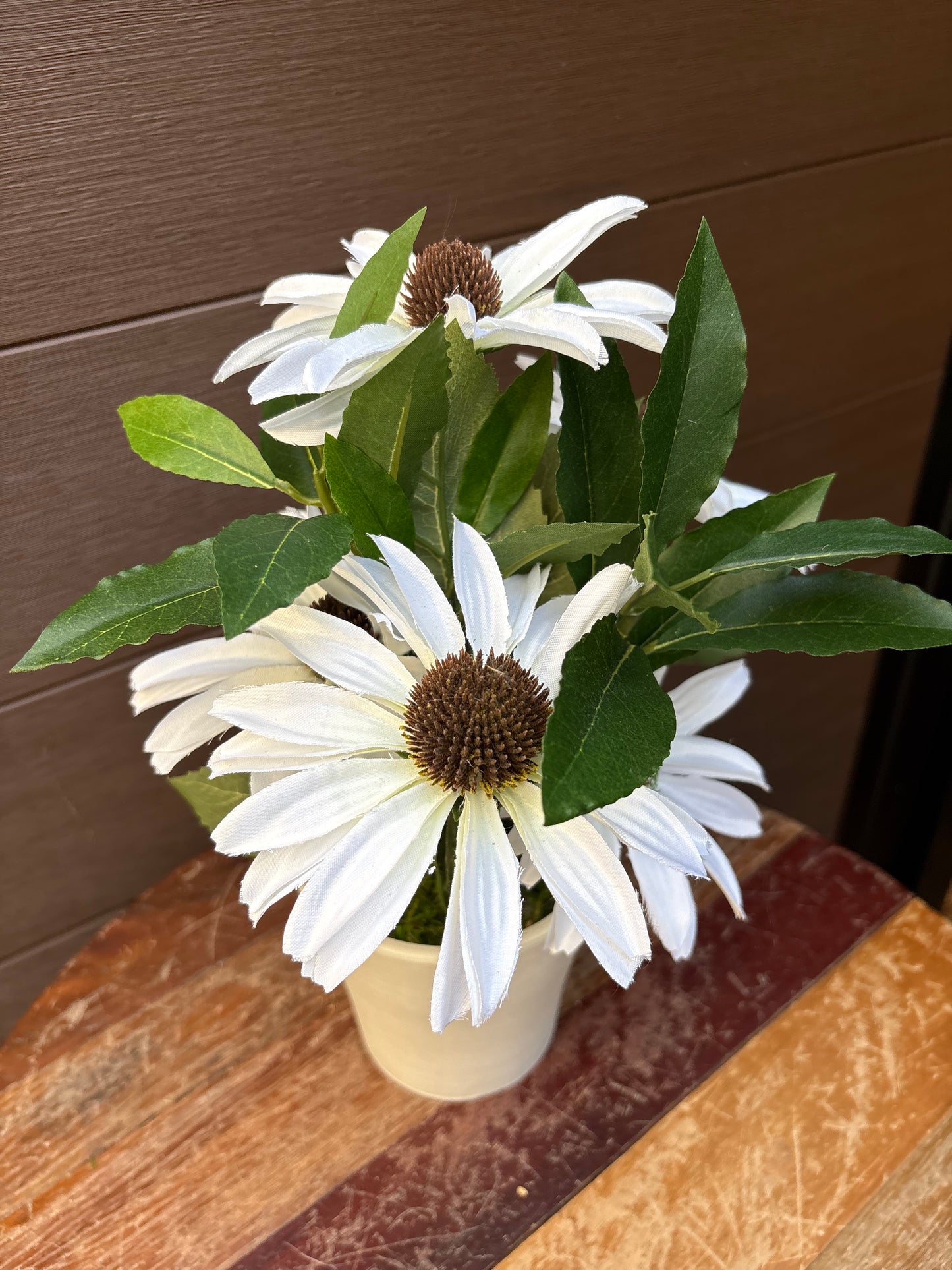 White rudbeckia floral arrangement