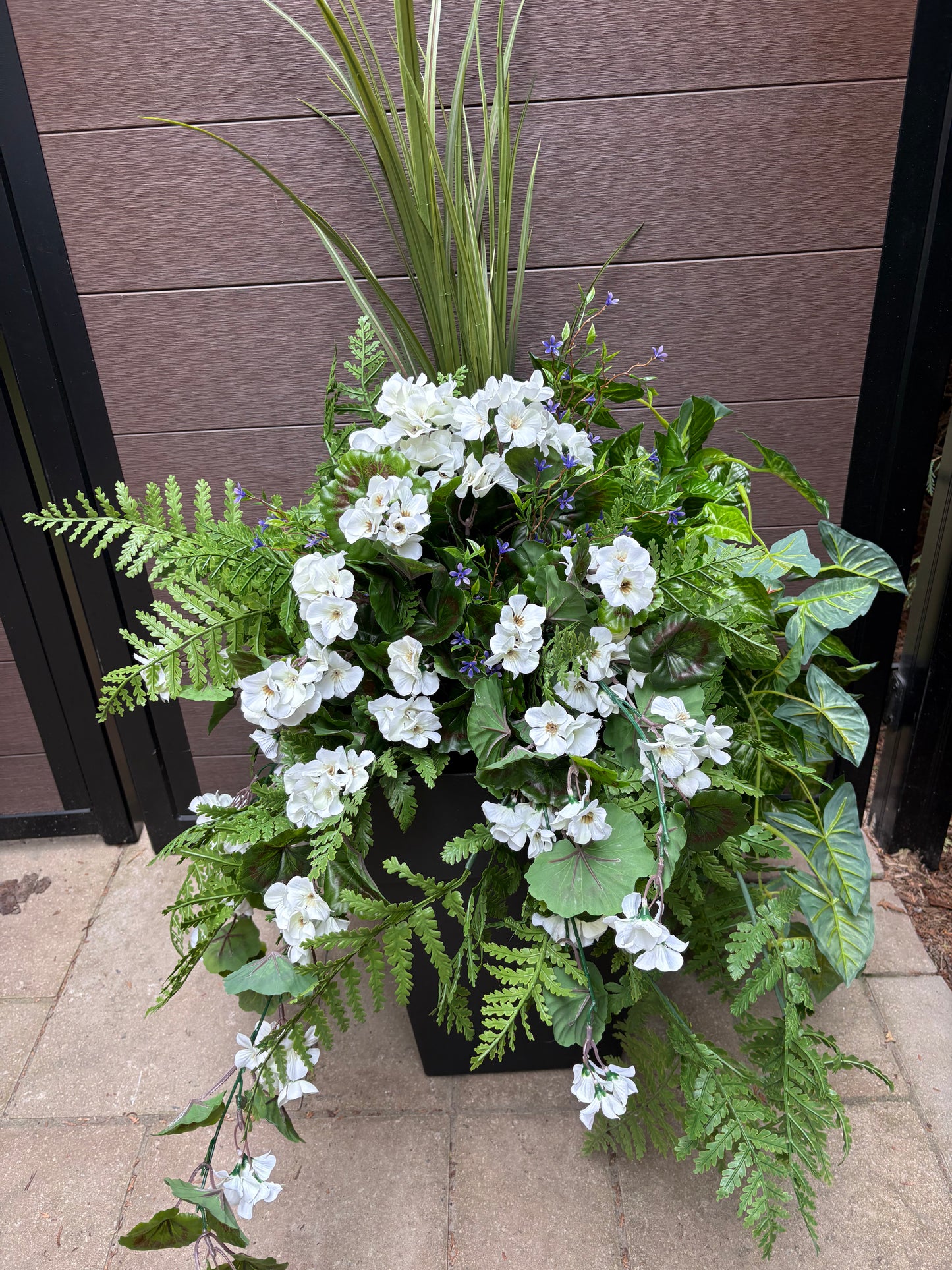 Arrangement extérieur Géranium Blanc Élégance