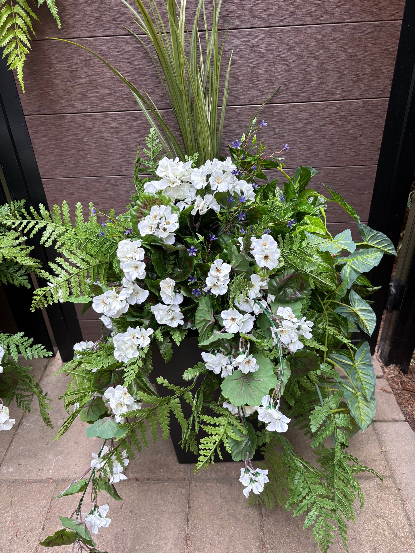 Arrangement extérieur Géranium Blanc Élégance