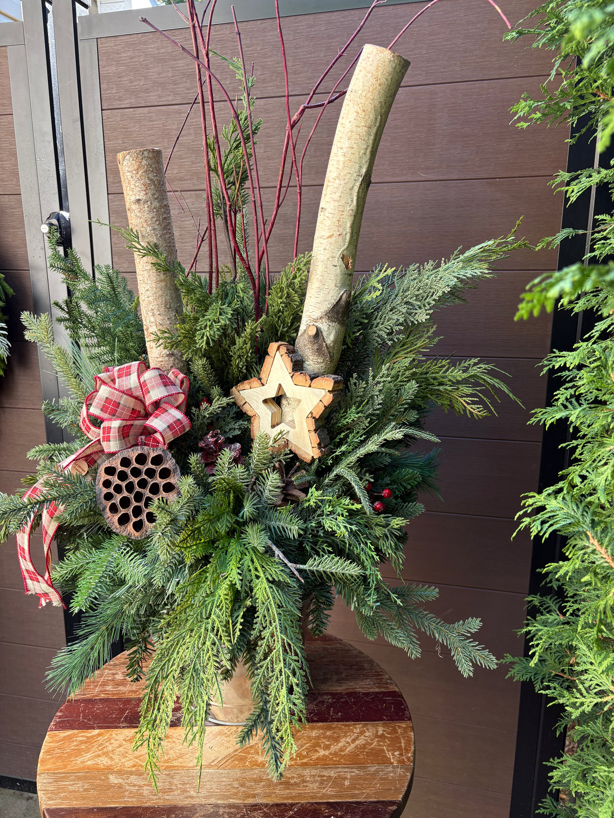 Arrangement hivernal rustique de 32 po – Branches de bouleau et étoile en bois