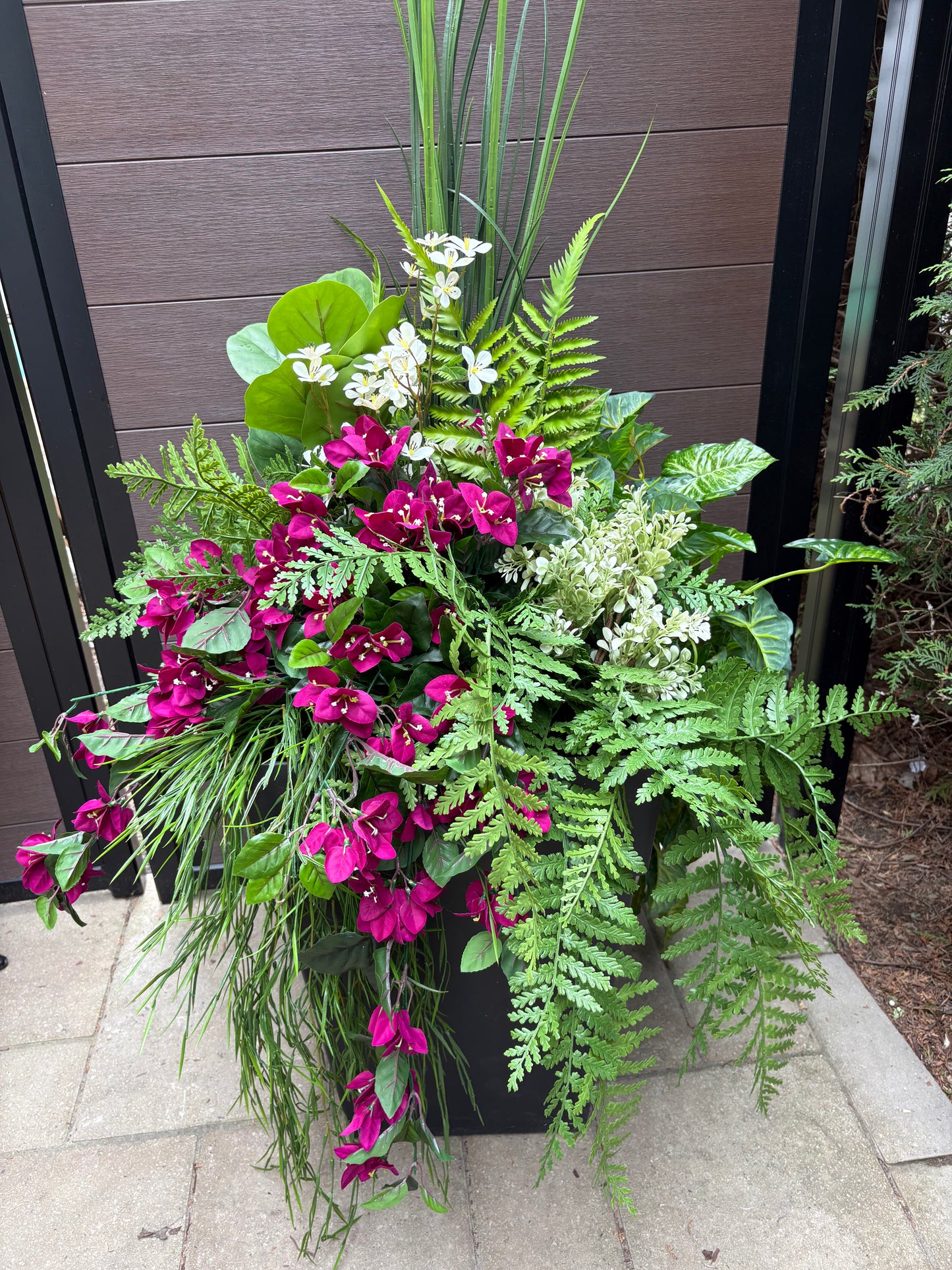 Arrangement extérieur grand format bougainvillier prune