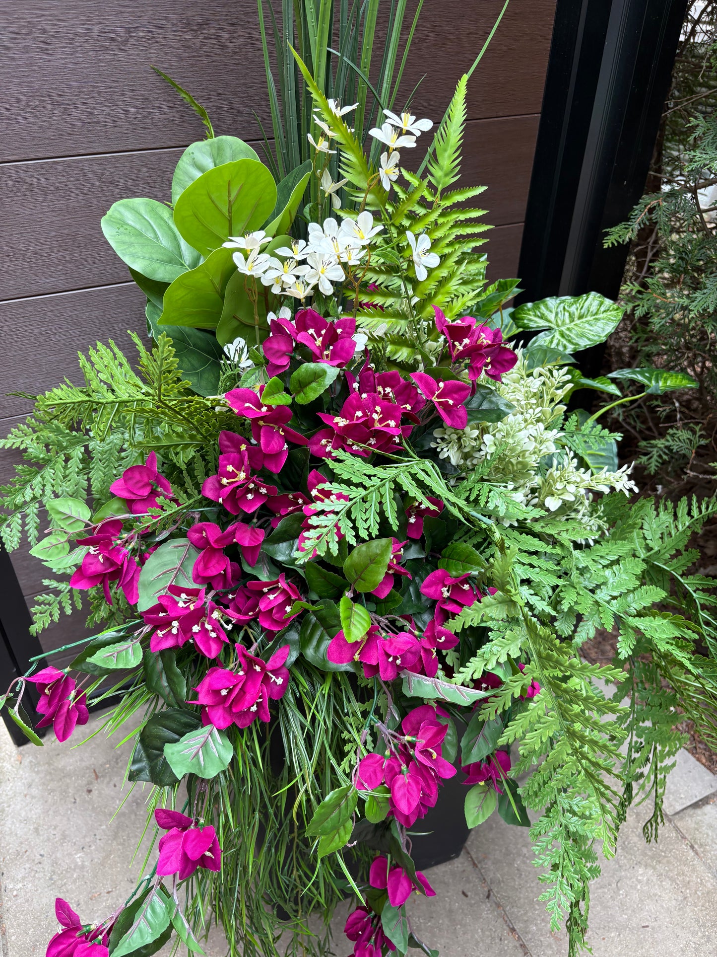 Arrangement extérieur grand format bougainvillier prune