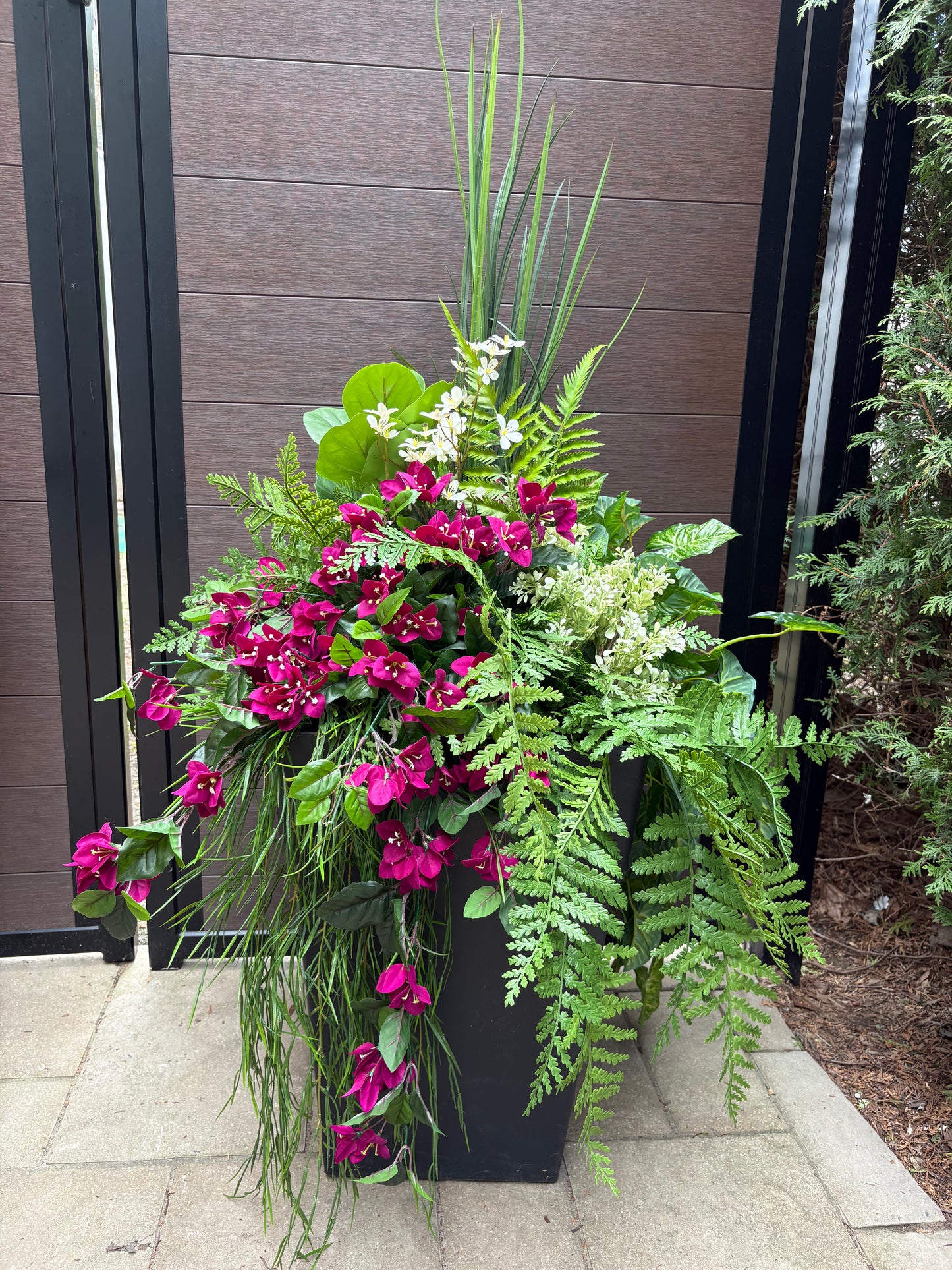 Arrangement extérieur grand format bougainvillier prune