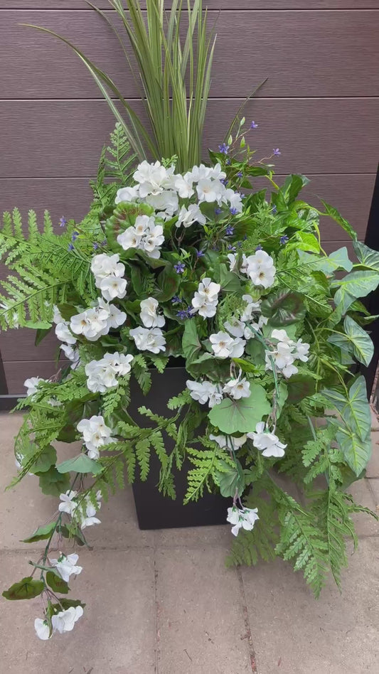 Outdoor Arrangement Geranium White Elegance