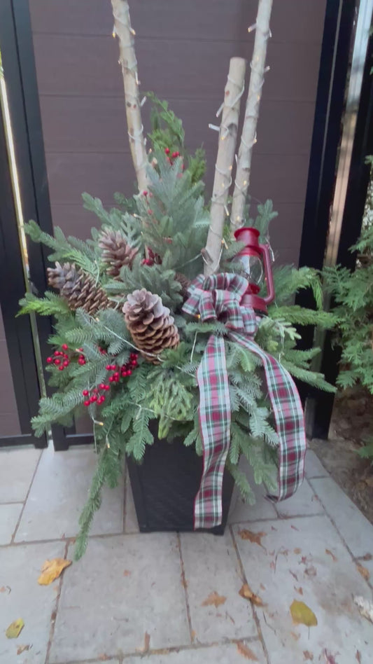 Grand arrangement hivernal extérieur 72 po – Bouleau, verdure et tartan
